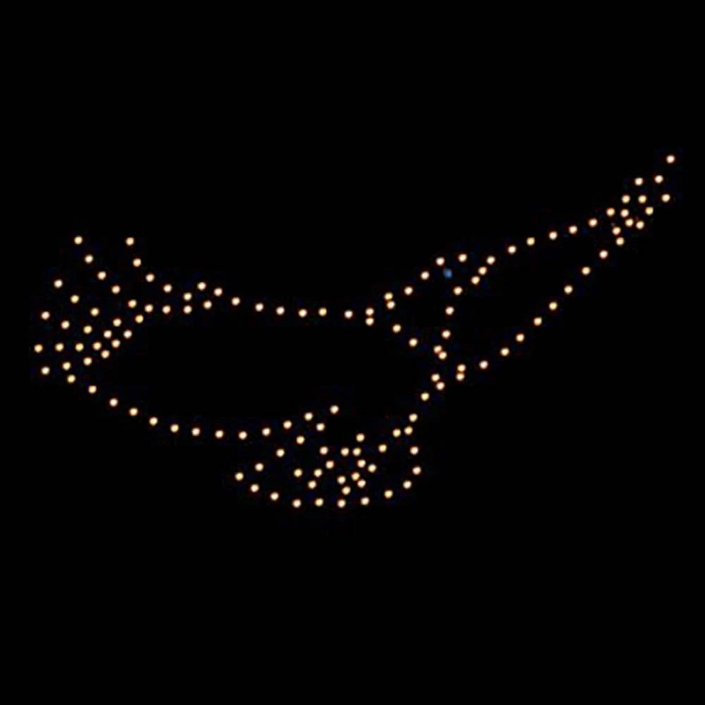 5' X 10' Flying Eagle, LED 3 5' X 10' Flying Eagle, LED