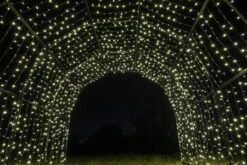 44' Walk Through Tunnel - LED - Warm White -Christmas Designers 3d warch 4 ww 2 5