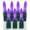 70 Light M5 Purple LED Christmas Lights 2 70 Light M5 Purple LED Christmas Lights -Christmas Designers m5 pu