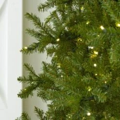 12' Indoor LED McKenzie Noble Fir Christmas Tree - Warm White -Christmas Designers t it 12 1213 ww 3