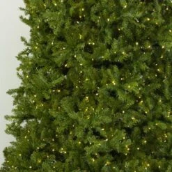 12' Indoor LED McKenzie Noble Fir Christmas Tree - Warm White -Christmas Designers t it 12 1213 ww 4