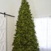 12' Indoor LED McKenzie Noble Fir Christmas Tree - Warm White 2 12' Indoor LED McKenzie Noble Fir Christmas Tree - Warm White -Christmas Designers t it 12 1213 ww 1