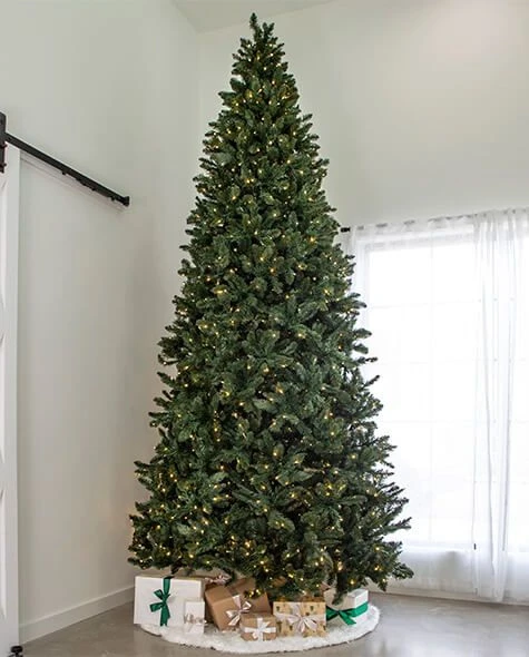 12' Indoor LED Oregon Grand Fir Christmas Tree - Warm White 3 12' Indoor LED Oregon Grand Fir Christmas Tree - Warm White