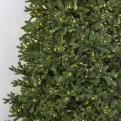 12' Indoor LED Sacred Fir Christmas Tree - Warm White 10 12' Indoor LED Sacred Fir Christmas Tree - Warm White -Christmas Designers t it 12 1224 ww 3