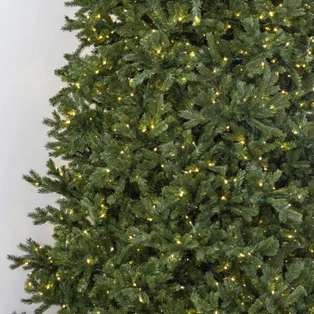 12' Indoor LED Sacred Fir Christmas Tree - Warm White 5 12' Indoor LED Sacred Fir Christmas Tree - Warm White - Image 3