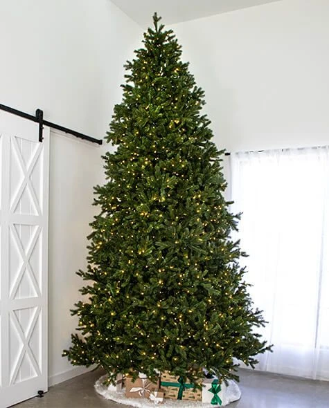 12' Indoor LED Sacred Fir Christmas Tree - Warm White 3 12' Indoor LED Sacred Fir Christmas Tree - Warm White