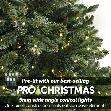 12' Indoor LED Oregon Grand Fir Christmas Tree - Warm White 4 12' Indoor LED Oregon Grand Fir Christmas Tree - Warm White - Image 2