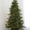 7.5' Indoor LED Mixed Foxtail Pine Christmas Tree - Warm White -Christmas Designers t it 75 1217 ww 1