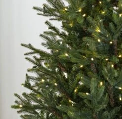 7.5' Indoor LED Upswept Norway Spruce Christmas Tree - Warm White 11 7.5' Indoor LED Upswept Norway Spruce Christmas Tree - Warm White -Christmas Designers t it 75 1225 ww 3
