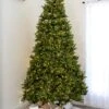 9' Indoor LED McKenzie Noble Fir Christmas Tree - Warm White 2 9' Indoor LED McKenzie Noble Fir Christmas Tree - Warm White -Christmas Designers t it 9 1212 ww 1