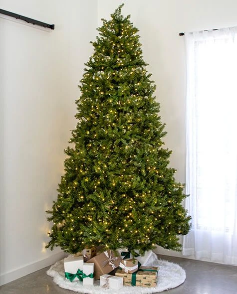 9' Indoor LED McKenzie Noble Fir Christmas Tree - Warm White 3 9' Indoor LED McKenzie Noble Fir Christmas Tree - Warm White