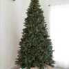 9' Indoor LED Oregon Grand Fir Christmas Tree - Warm White 2 9' Indoor LED Oregon Grand Fir Christmas Tree - Warm White -Christmas Designers t it 9 1215 ww 1