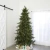 12' Indoor LED Mixed Foxtail Pine Tree - Warm White 2 12' Indoor LED Mixed Foxtail Pine Tree - Warm White -Christmas Designers t it 9 1218 ww