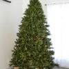 9' Indoor LED Sacred Fir Christmas Tree - Warm White