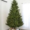9' Indoor LED Upswept Norway Spruce Christmas Tree - Warm White -Christmas Designers t it 9 1226 ww 1